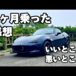 【NDロードスター】1ヶ月乗った感想 #ND2 #NDロードスター #車載動画