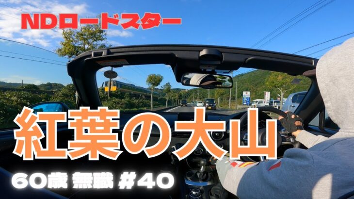 【NDロードスター】オープンドライブ　紅葉の見頃となった大山を目指せ【60歳無職#40】