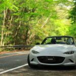 NDロードスターでもえぎ色の山坂道を走る。