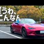 NDロードスターが欲しすぎて、1日借りちゃった24歳男のGWドライブ旅｜Vlog【PART1】